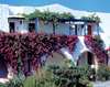 Aldemar Cretan Village 